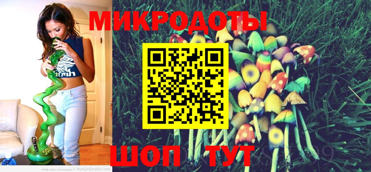 Псилоцибиновые грибы Cubensis Санкт-Петербург