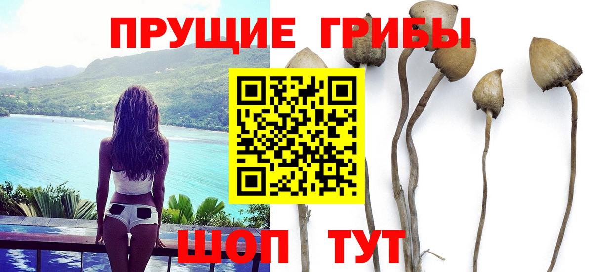 Галлюциногенные грибы ЛСД  Вход с VPN  Санкт-Петербург  Галлюциногенные грибы Cubensis 