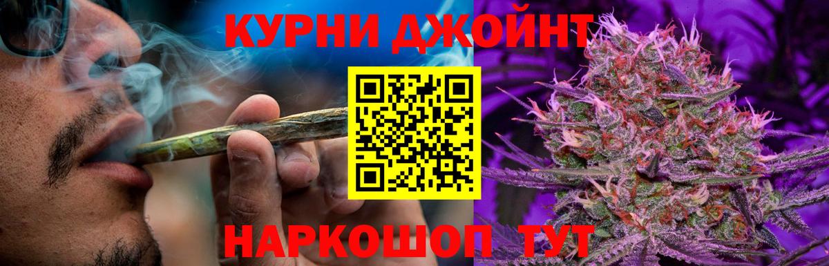 Шишки марихуана план Санкт-Петербург